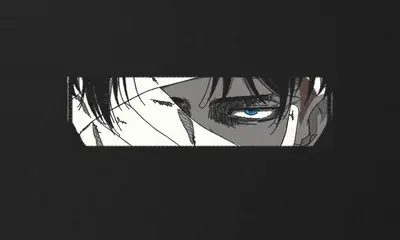 Tricou Levi Ackerman - 2