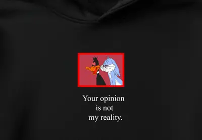 Hanorac Opinie vs Realitate - 2