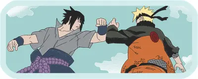 Broderie ZORO